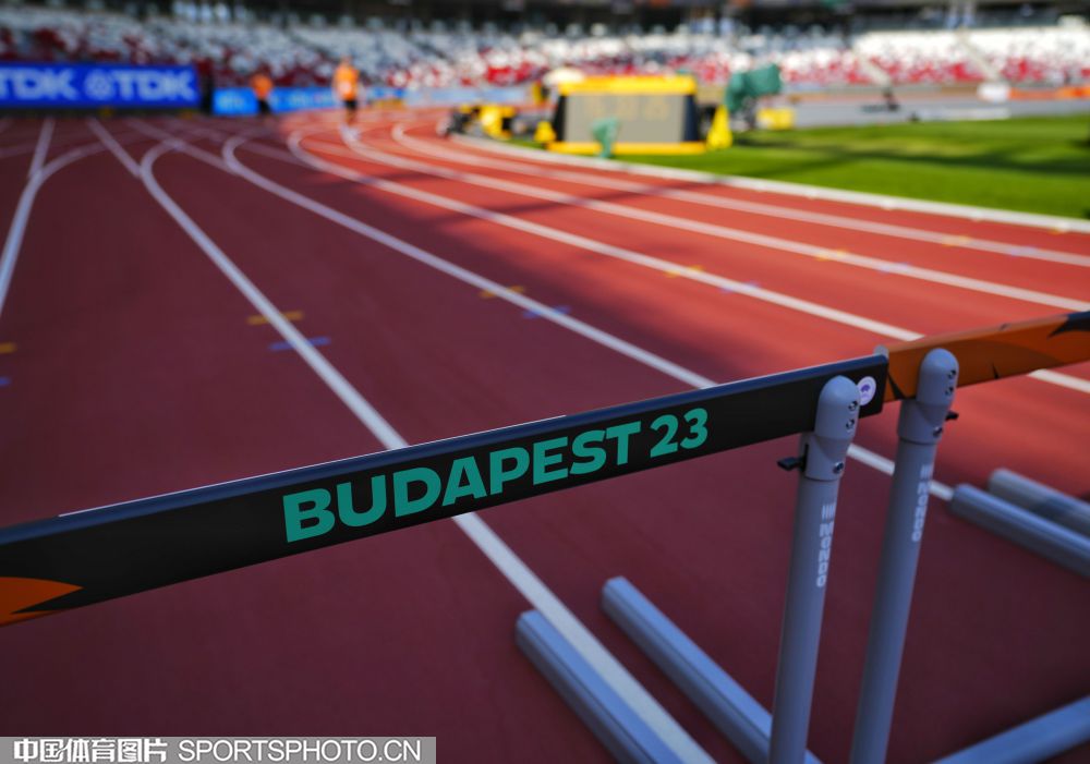 一种家族奋 一种家族奋