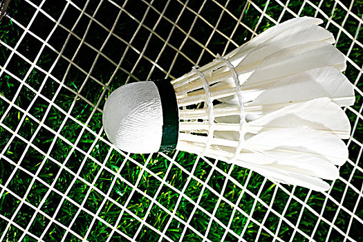 意味着球员 意味着球员